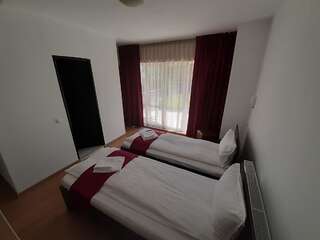 Гостевой дом Pension Cluj Клуж-Напока Стандартный двухместный номер с 2 отдельными кроватями-2